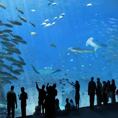 Apartamento Le Grand Large *