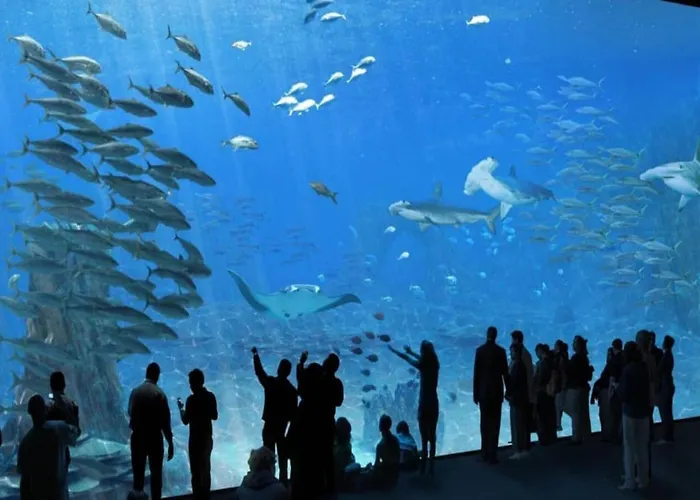 Apartment Le Grand Large *